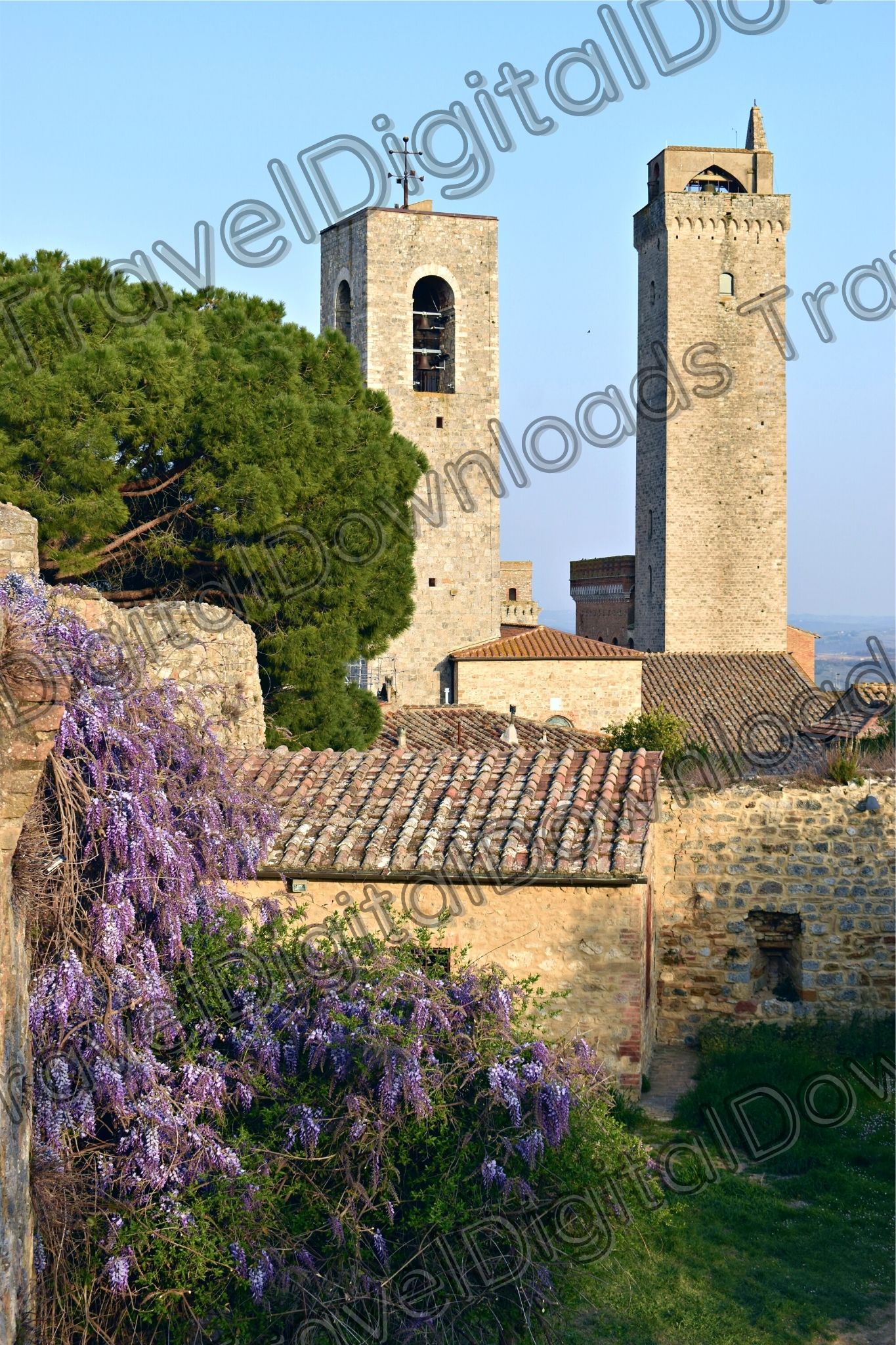 Italy San Gimignano Portrait