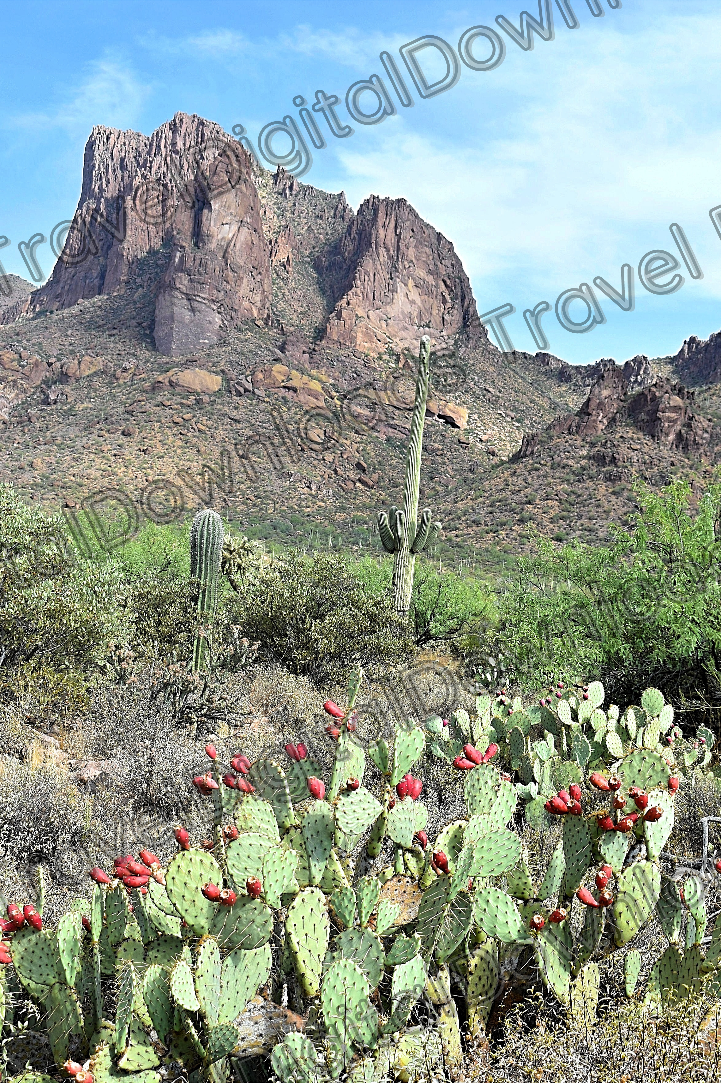 Gold Canyon Arizona